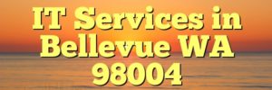 IT Services in Bellevue WA 98004