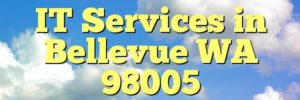 IT Services in Bellevue WA 98005