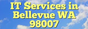 IT Services in Bellevue WA 98007