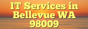 IT Services in Bellevue WA 98009