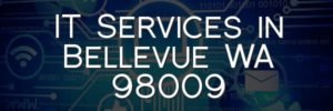 IT Services in Bellevue WA 98009