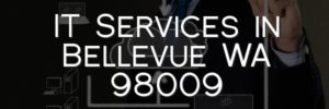 IT Services in Bellevue WA 98009