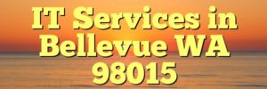 IT Services in Bellevue WA 98015