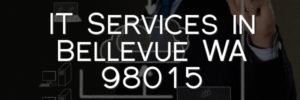 IT Services in Bellevue WA 98015