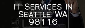 IT Services in Seattle WA 98116